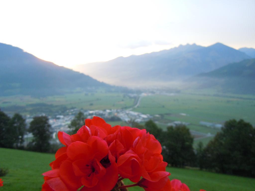 Areithof Lejlighed Zell am See Værelse billede